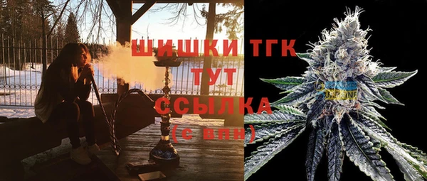 ECSTASY Заводоуковск