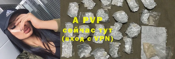 ECSTASY Заводоуковск