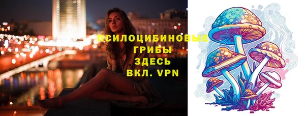 шишки Ельня