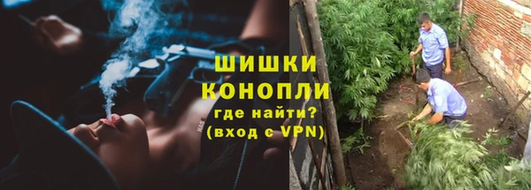 ECSTASY Заводоуковск