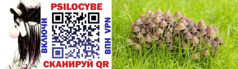 Псилоцибиновые грибы Magic Shrooms  мориарти официальный сайт  Копейск  продажа наркотиков 